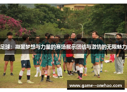 足球：凝聚梦想与力量的赛场展示团结与激情的无限魅力